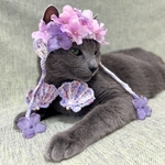 再販【猫用】レトロな紫陽花セット(帽子&貝殻ブラ)