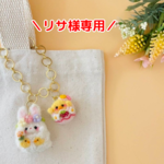 🐇リサ様専用🐥バッグチャームなど