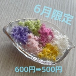 再販!!スターフラワー(6色180個)