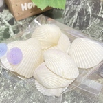 天然貝殻　シェル　アソート　素材　二枚貝-13 50g  沖縄　海