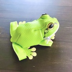 アマガエルポーチ②【訳あり品】