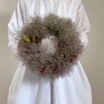 スモークツリーのリース