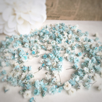 かすみ草    ✽antique blue✽