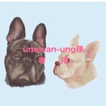 umesan-ung様専用
