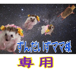 こちらはずんだいずママ様専用