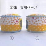 🍓丸型ハウス
