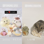ハム子姐専用