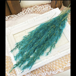 レアパンパスグラス❣️綺麗色ターコイズブルー小分け❣️ハンドメイド花材