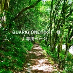 【受注制作】GUARIGIONE@水引様　専用