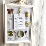 【再再…販】始まりが選べる　草花を楽しむカレンダー✳︎植物標本風カレンダー（壁掛け型/置き型兼用）✳︎卓上カレンダー　2022カレンダー