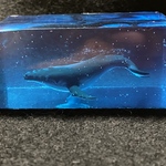 綺麗な海をおよぐザトウクジラ
