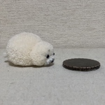 動物ぽんぽん アザラシ