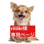 専用ページ