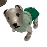 [Jelly Green] aiboちゃんのサマースタイルカットソー　タンクトップ&ホットパンツ　セットアップ　選べる5色