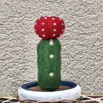 フェルト　Ｍ　赤ヒボタン　サボテン 