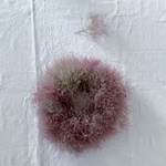 スモークツリーのもふもふリース