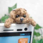 スマホの上からこんにちは(^^)トイプードル　イヤホンジヤック