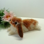 のびのびロップちゃん  (茶×白)