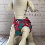 犬猫ハーネス ２点止め　大きなフラワー🌼　ゴールドお花バックル
