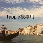 1apple様専用　カゴバッグ　　カカオ