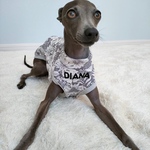 名入れオーダー犬服 抜染フラワータンクトップ ローズグレー