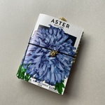 種袋ジャンクジャーナル　▷ ASTER