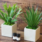 BOTANICALアロマポット３点セット◆「観葉グリーン」◆選べる精油２本付