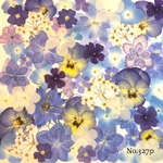 ♡new♡作家様必見♡押し花MIXセット♡押し花セット