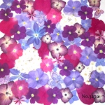 ♡new♡作家様必見♡押し花MIXセット♡押し花セット