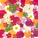 ♡new♡作家様必見♡押し花MIXセット♡押し花セット