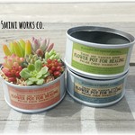 新作♪春色リメイク缶の多肉植物寄せ植え♪《空色》