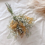 小さなドライフラワースワッグ❁¨̮ドライフラワーガーランド  かすみ草 ミモザ