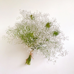 もふもふ カスミソウ とニゲラ White&green ブーケ スワッグ ドライフラワー Summer