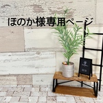 ほのか様専用ページ　　送料無料