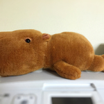 リラックスカピバラ