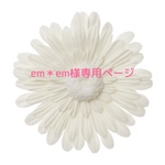 em＊em様専用ページ