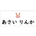 オーダー・ゼッケン・10×25cm・アイロンタイプか縫い付けタイプ・平仮名・漢字・体操服