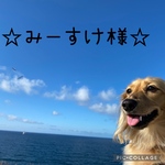 ❁⃘☆みーすけ様☆❁⃘