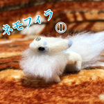 ブルーメスカイ　ネモフィラ(ラスト1匹)