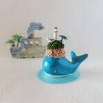 小島くじら〈灯台島〉
