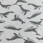 再販3  ランチョンマット　ランチマット　給食　クジラ　海の生き物