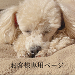 chinakoko様専用ページです❣️ 犬⭐︎猫⭐︎ペット用 ボーン型のパステルカラー迷子札