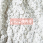 専用ページ