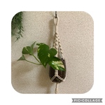 【送料無料】ハンドメイド　プラントハンガー