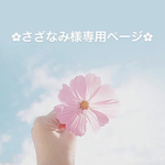 さざなみ様専用ページ✿︎
