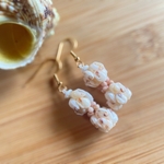 Beautiful Hawaiian Shells  Hua Earrings 