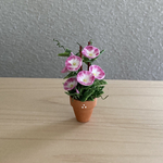 朝顔　18   ちびっこ鉢