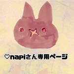 ♡napiさん 専用ページ