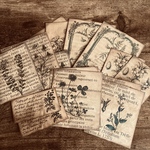 アンティークラベル16枚 ver.2 ボタニカル