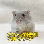 かわもと様専用うちの子お名前プレート購入ページ